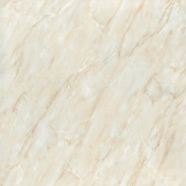 Gạch lát sàn Trường Thịnh ATLANTIS TT66203